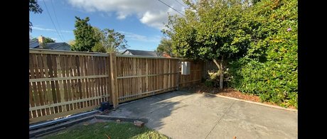 dvpgirlnextdoorxxx modelo exclusivo imagen