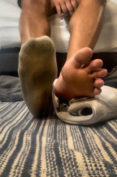 lucarocco07 étoile chaude galeries