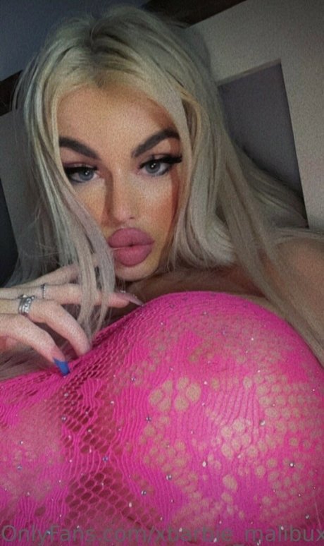 Malibu merc meilleur modèle collection