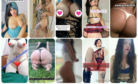 xxlbbw modèle collection