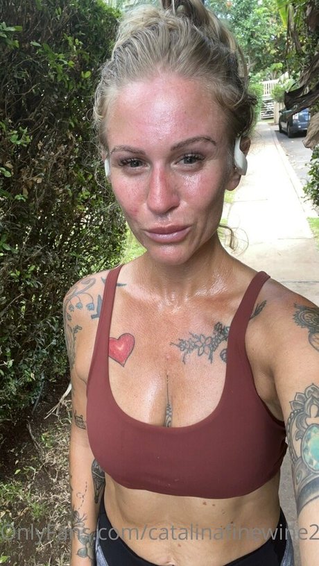 catalinafinewine2023 étoile magnifique archive