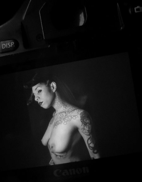 razorredd estrella de alta definición imágenes