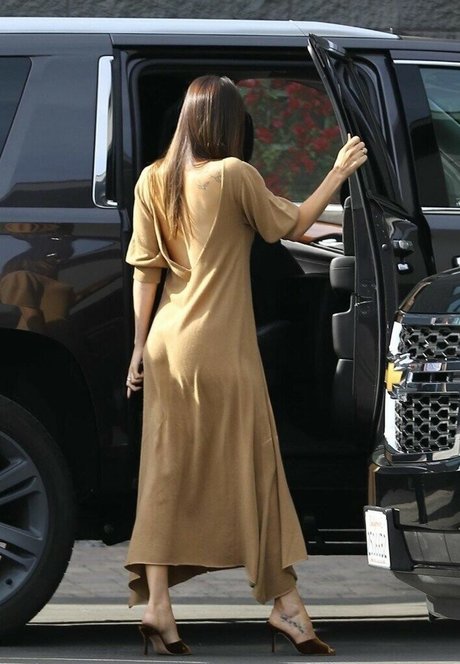 Dakota Johnson étoile nue archive