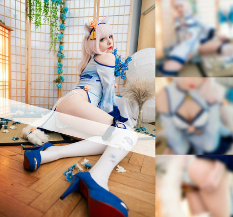 akariia étoile de haute qualité photo