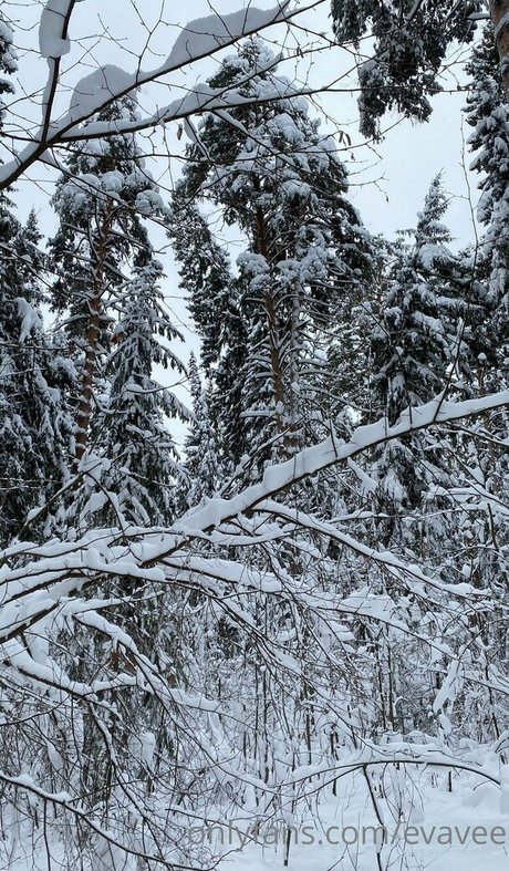 evavee estrella caliente galería