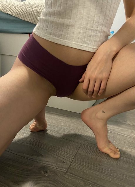 myleskitty libre de estrellas galería