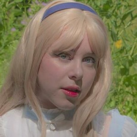 aloeaceae star exclusive collection