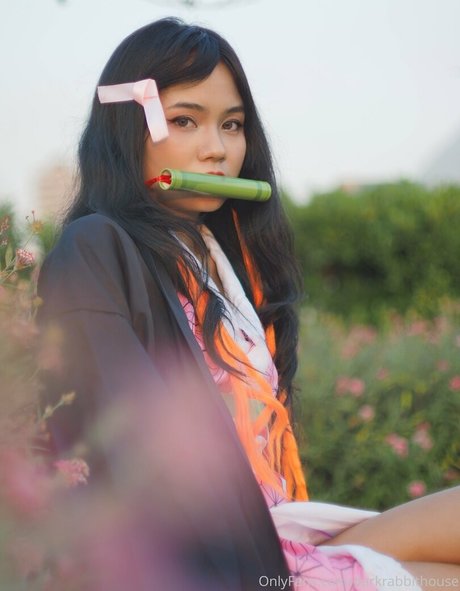 Darkrabbithouse actrice artistique img