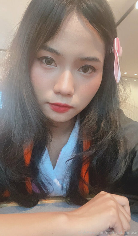 Darkrabbithouse étoile sexy archive