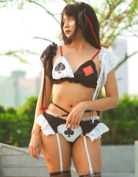 Darkrabbithouse Miniatura