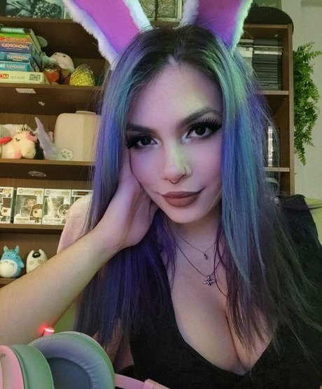 Megaptera modelo hd archivo