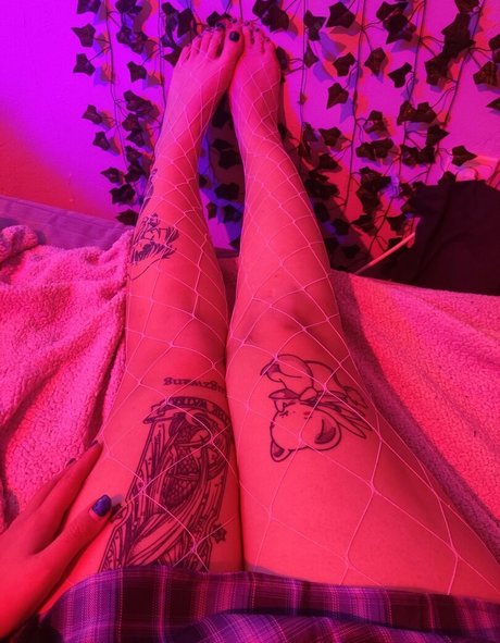 Megaptera modèle joli photo