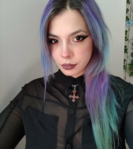 Megaptera estrella caliente foto