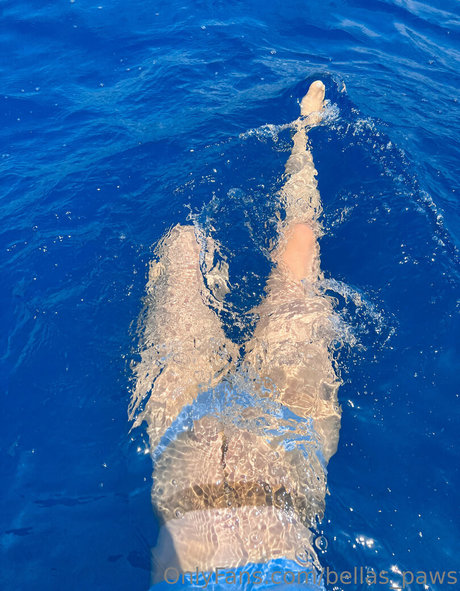 bellas paws estrella adulta galerías