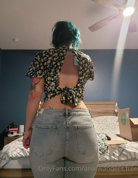 aria wanders free actriz adulta galerías