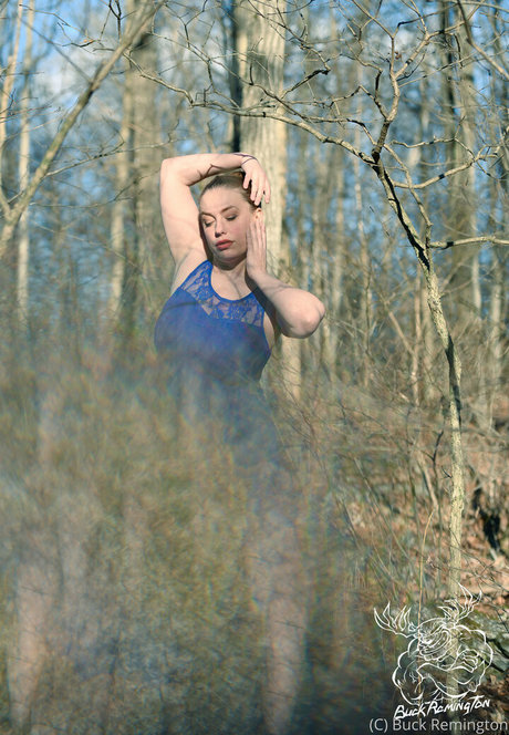 buckremington libre de estrellas galerías