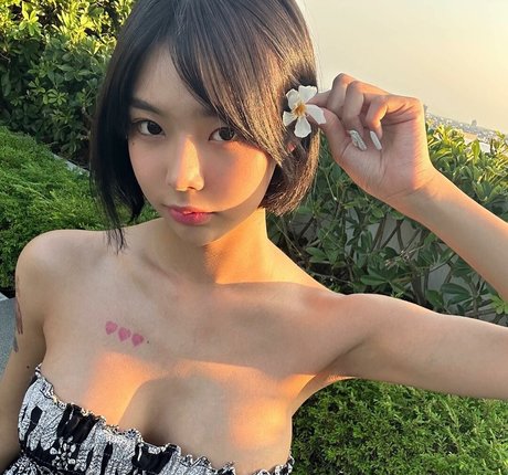 wmookies modelo recopilación