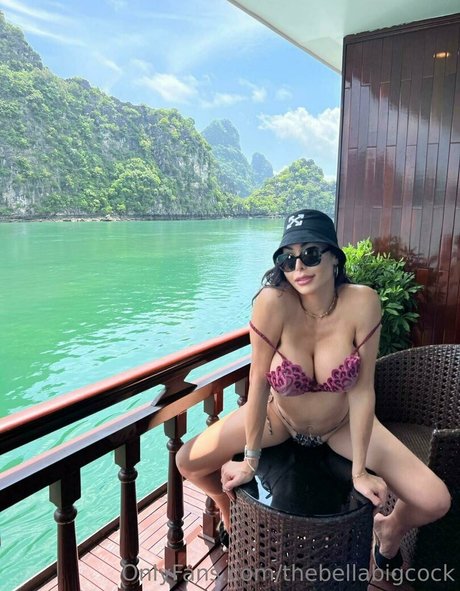 thebellabigcock Miniature