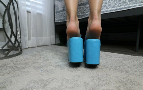 ivorysoles libre de estrellas galerías