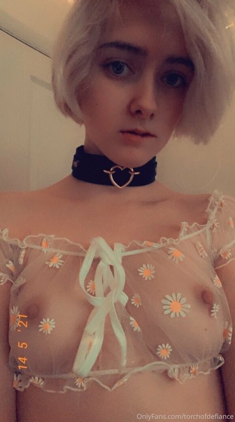 torchofdefiance estrella exclusiva galerías