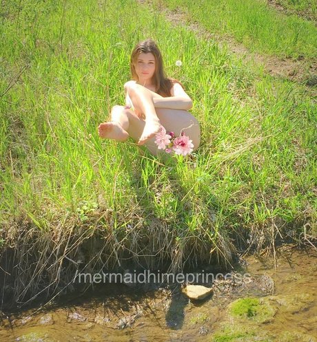 mermaidhimeprincess étoile de l'art images