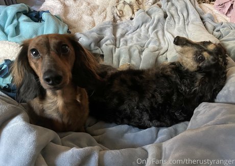 therustyranger estrella bonita fotos