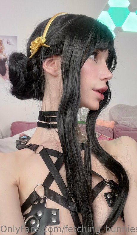 fetching bunnies thumbnail