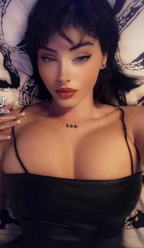 Paaaubg modèle magnifique image