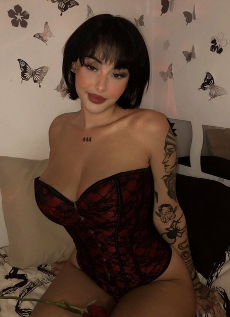 Paaaubg estrella perfecta recopilación