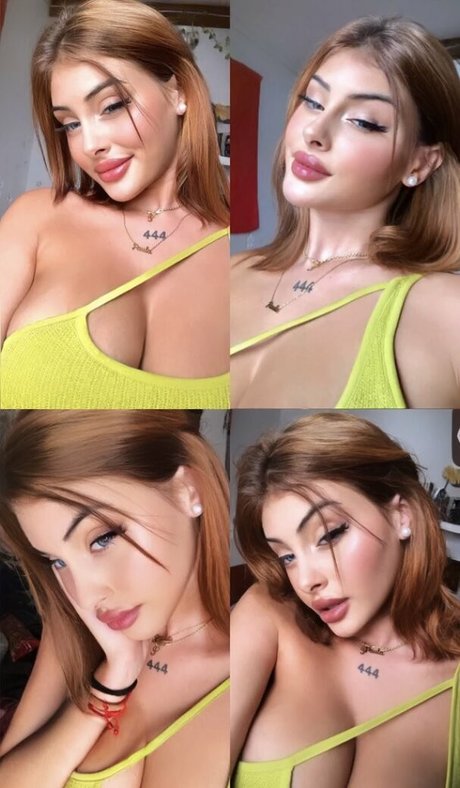 Paaaubg estrella libre imagen