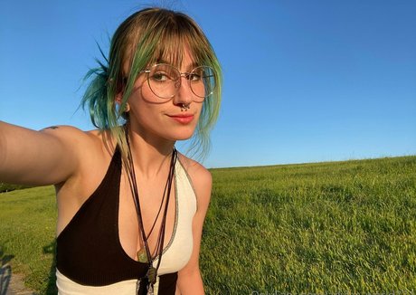 adylasworld estrella superior galería