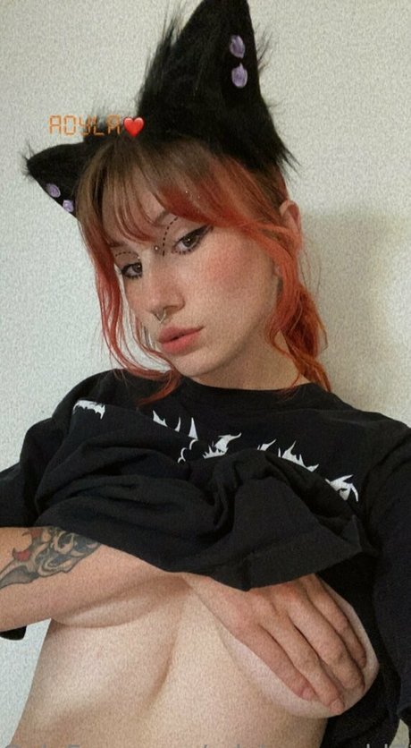 adylasworld estrella del arte galerías