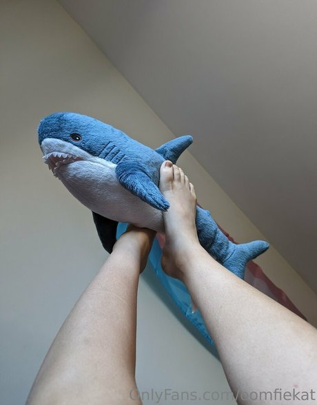 oomfiekat estrella adulta foto