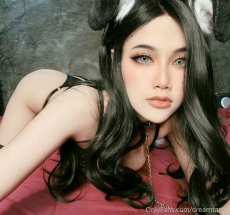 Dreamtamu star top pictures