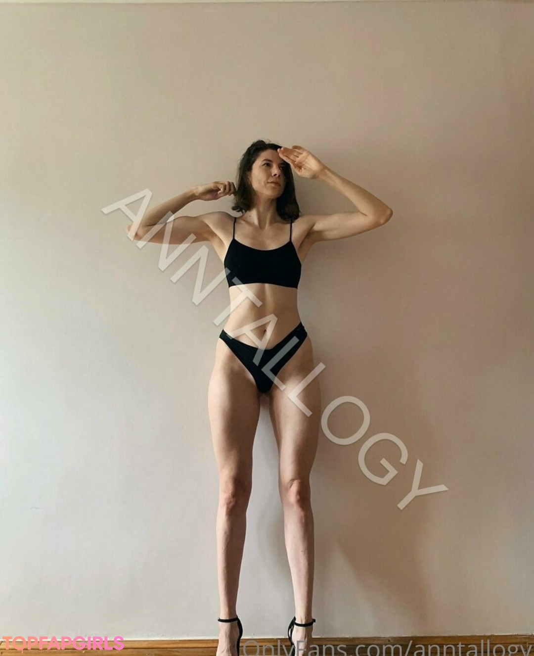 anntallogy star top image