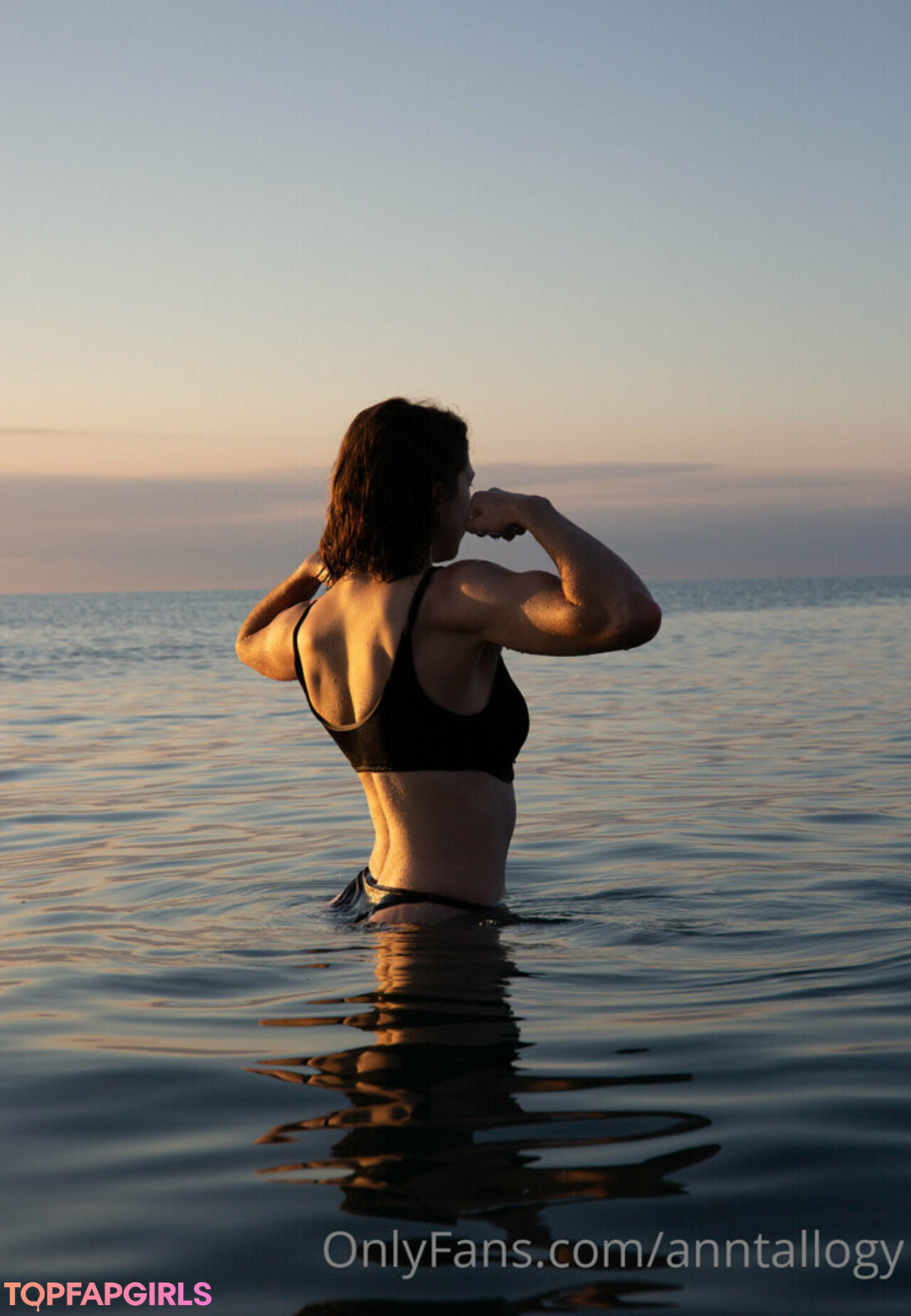 anntallogy star free image