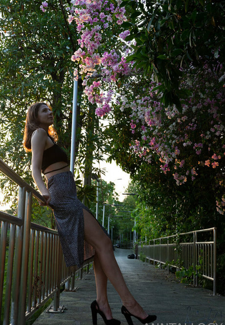 anntallogy xxx estrella porno fotos