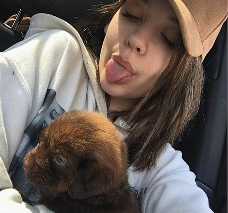 Amanda Steele art star du porno archive