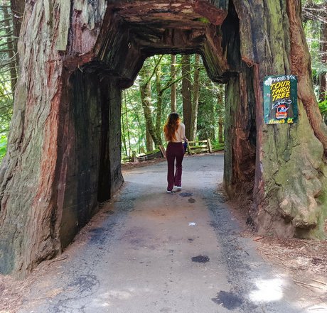 freelacielaplante estrella porno bonita foto