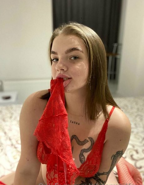 whiterrabitfree jolie étoile images