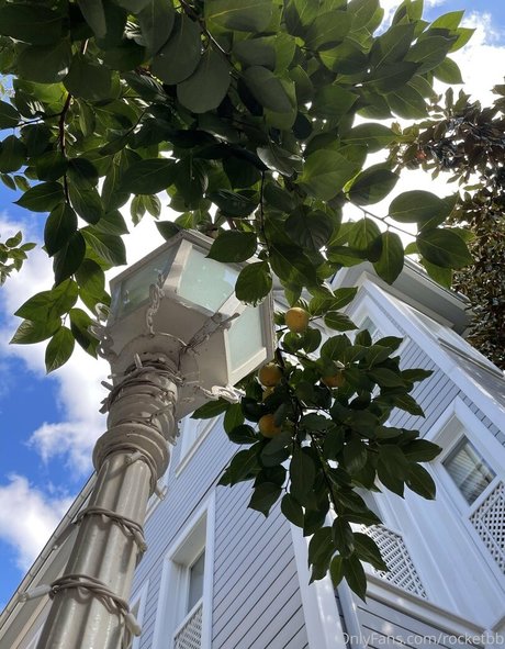 rocket bb sexo modelo recopilación