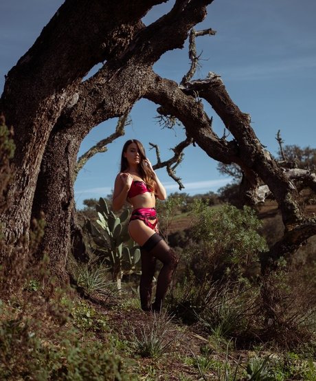 Anna Zapala art modèle galerie