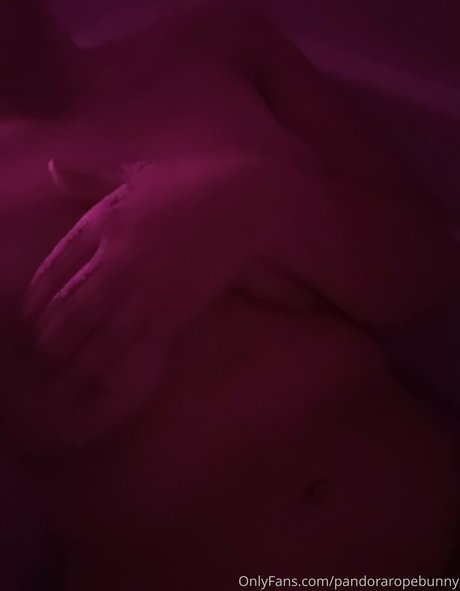 pandorabunny estrella galería