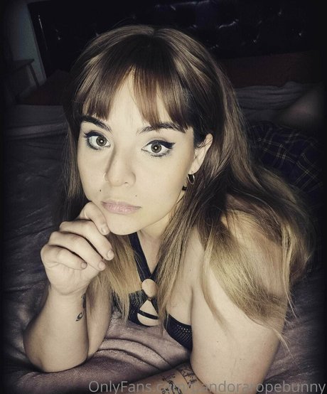 pandorabunny xxx star archive
