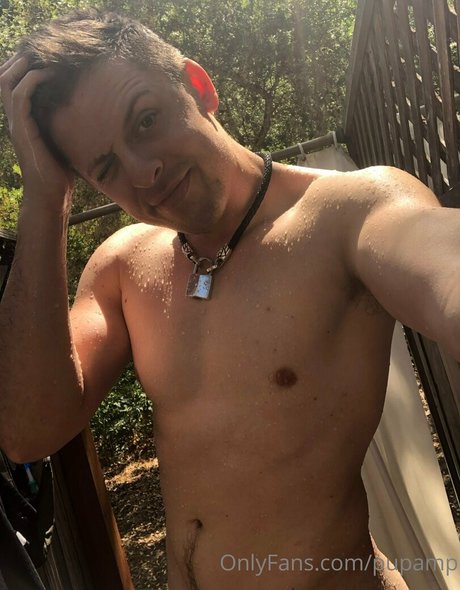 pupamp mejor modelo galerías