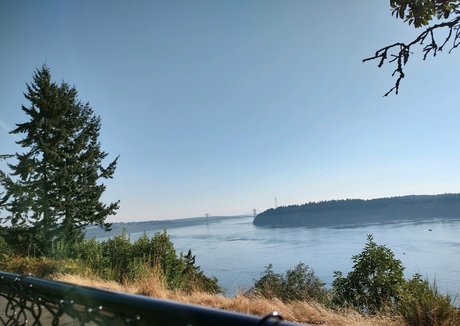 ivypearl42069 modelo de arte galería