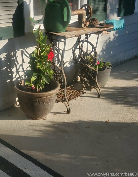 bee88i belle star du porno photos