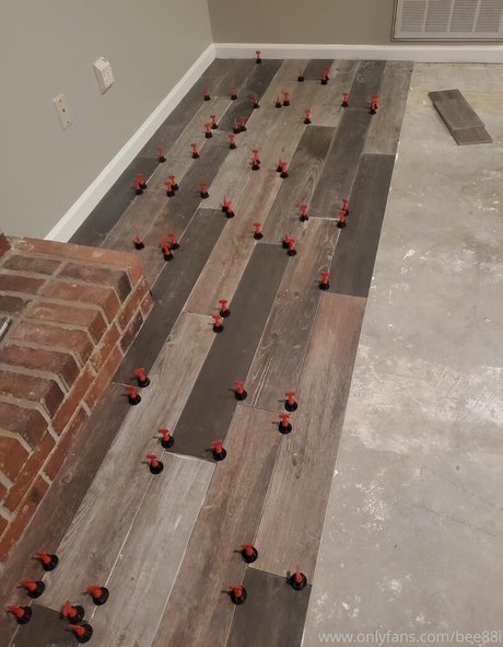 bee88i modèle exclusif galerie