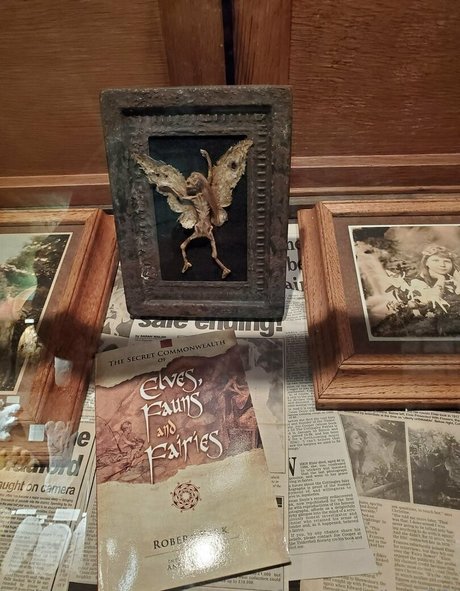 bee88i estrella porno gratis foto