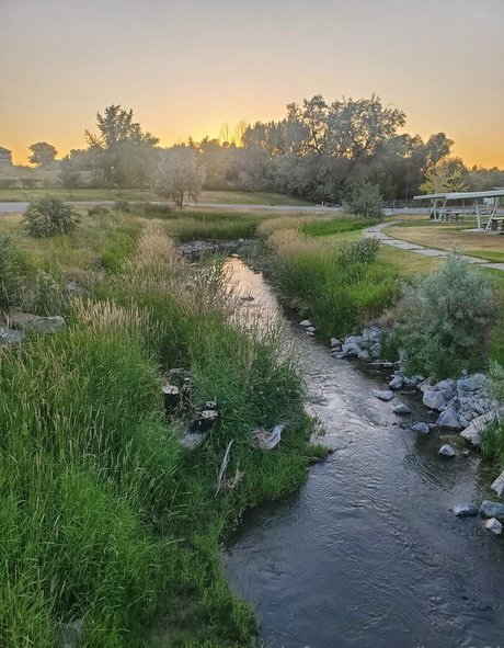 bee88i sexo estrella recopilación